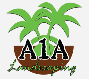 a1a